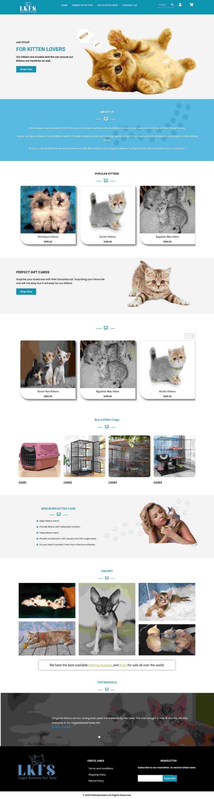 top web development company coimbatore
